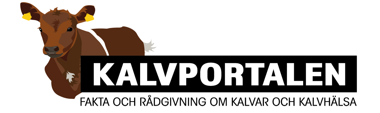 Kalvportalen logo